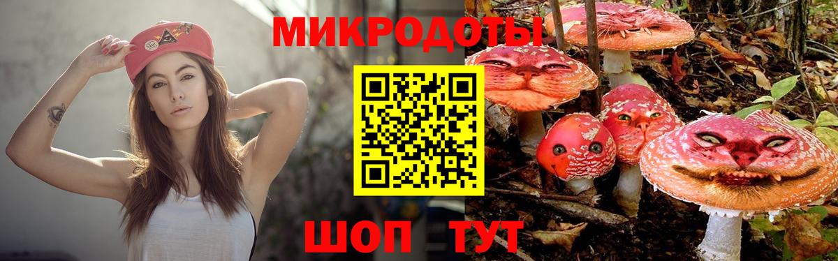 Псилоцибиновые грибы Magic Shrooms Шадринск